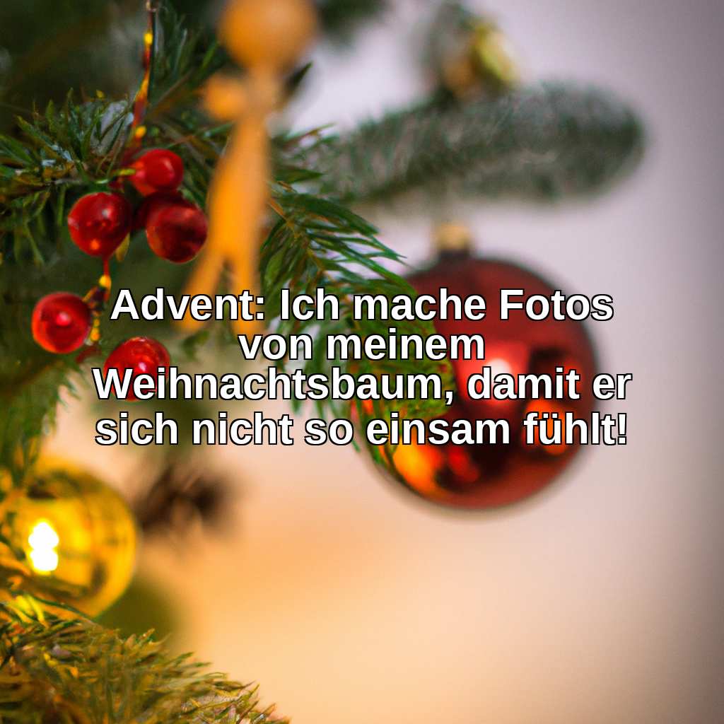 Advent: Ich mache Fotos von meinem Weihnachtsbaum, damit er sich nicht so einsam fühlt!