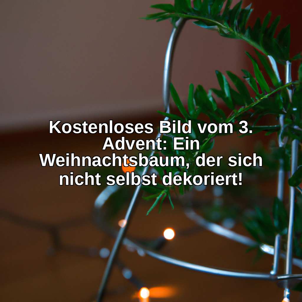 Kostenloses Bild vom 3. Advent: Ein Weihnachtsbaum, der sich nicht selbst dekoriert!