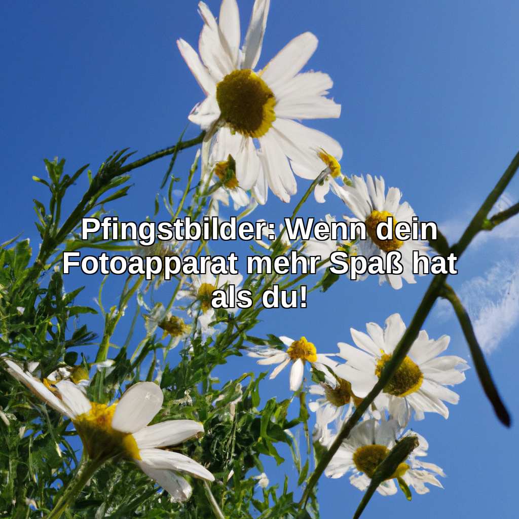 Pfingstbilder: Wenn dein Fotoapparat mehr Spaß hat als du!